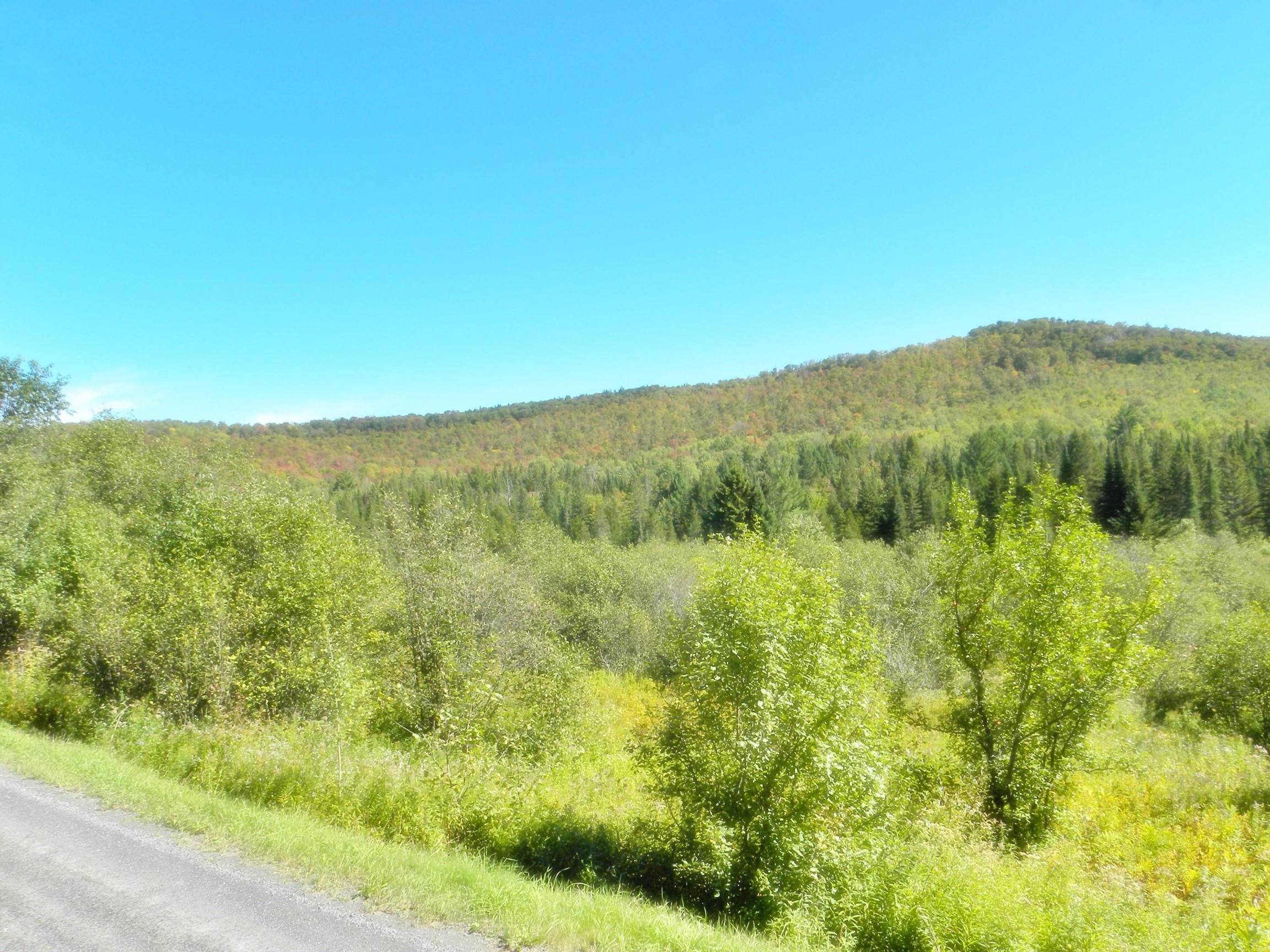 790 New Duck Pond Road Sheffield, VT 05866 - Photo 1 of 30