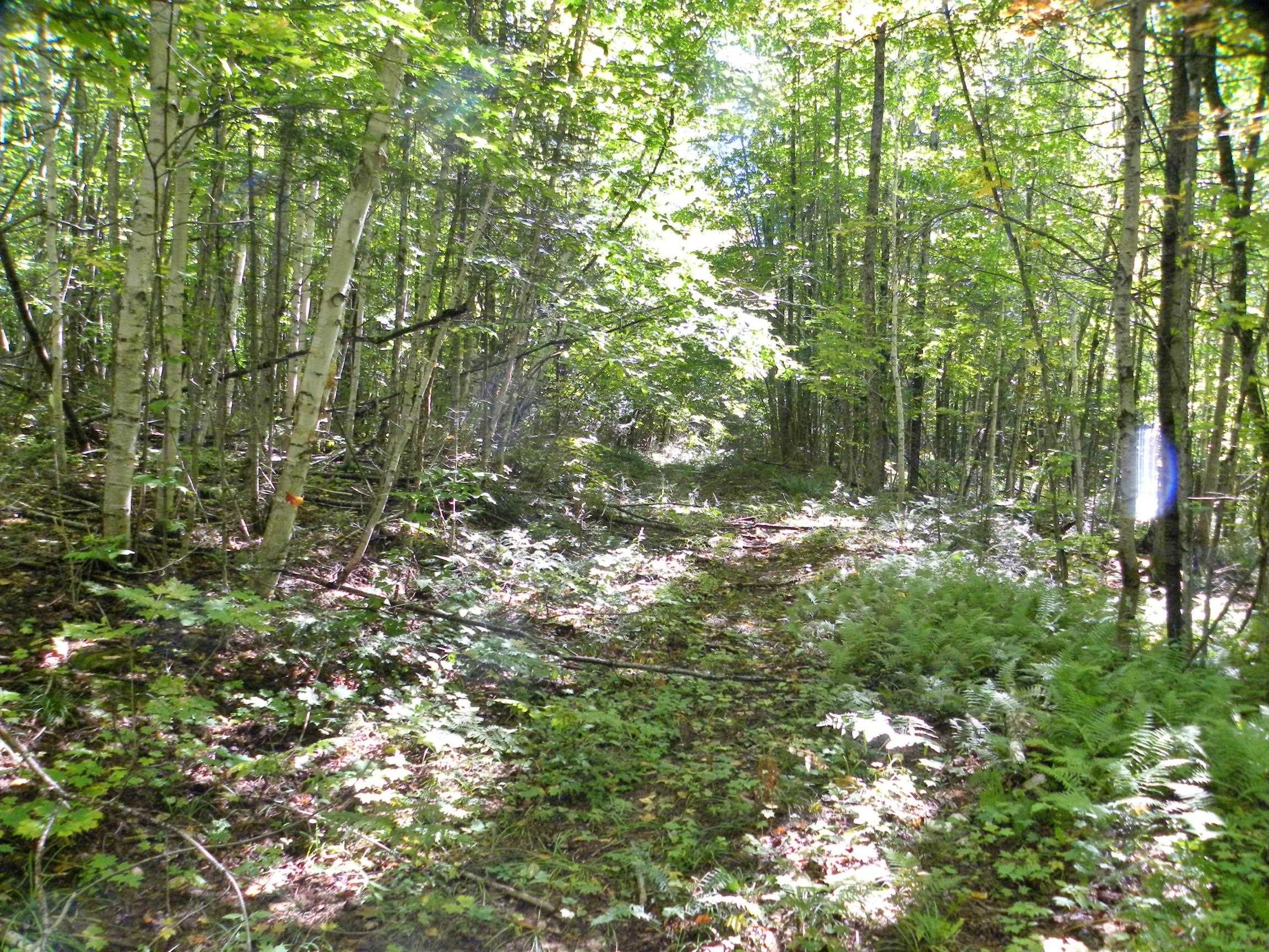790 New Duck Pond Road Sheffield, VT 05866 - Photo 11 of 30