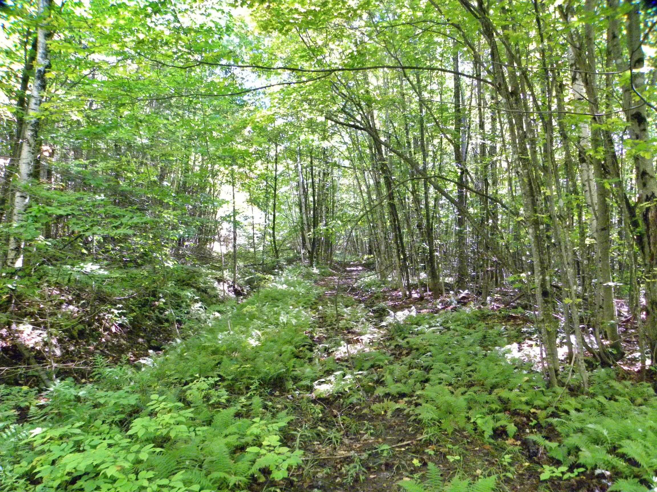 790 New Duck Pond Road Sheffield, VT 05866 - Photo 13 of 30
