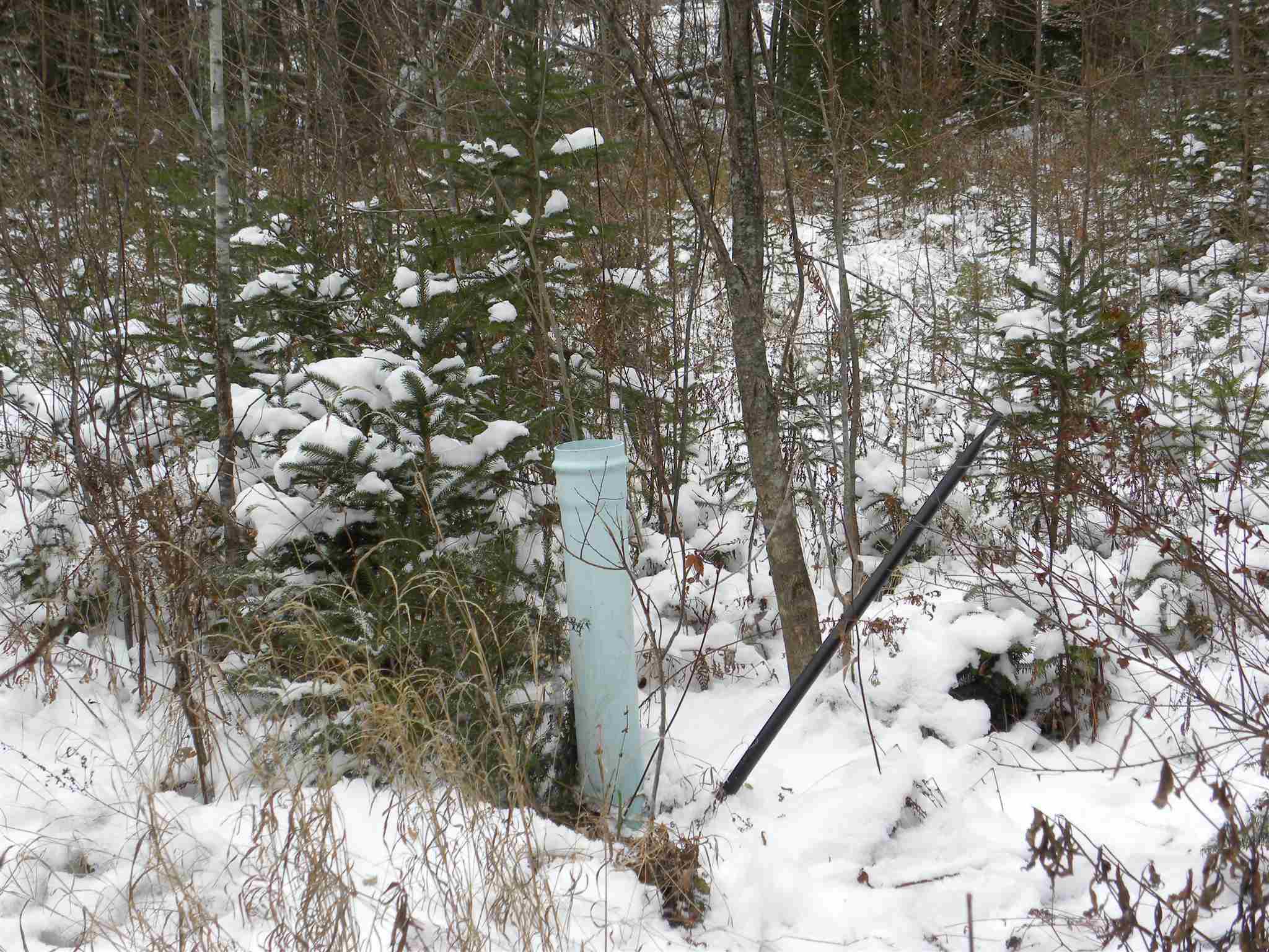 790 New Duck Pond Road Sheffield, VT 05866 - Photo 20 of 30