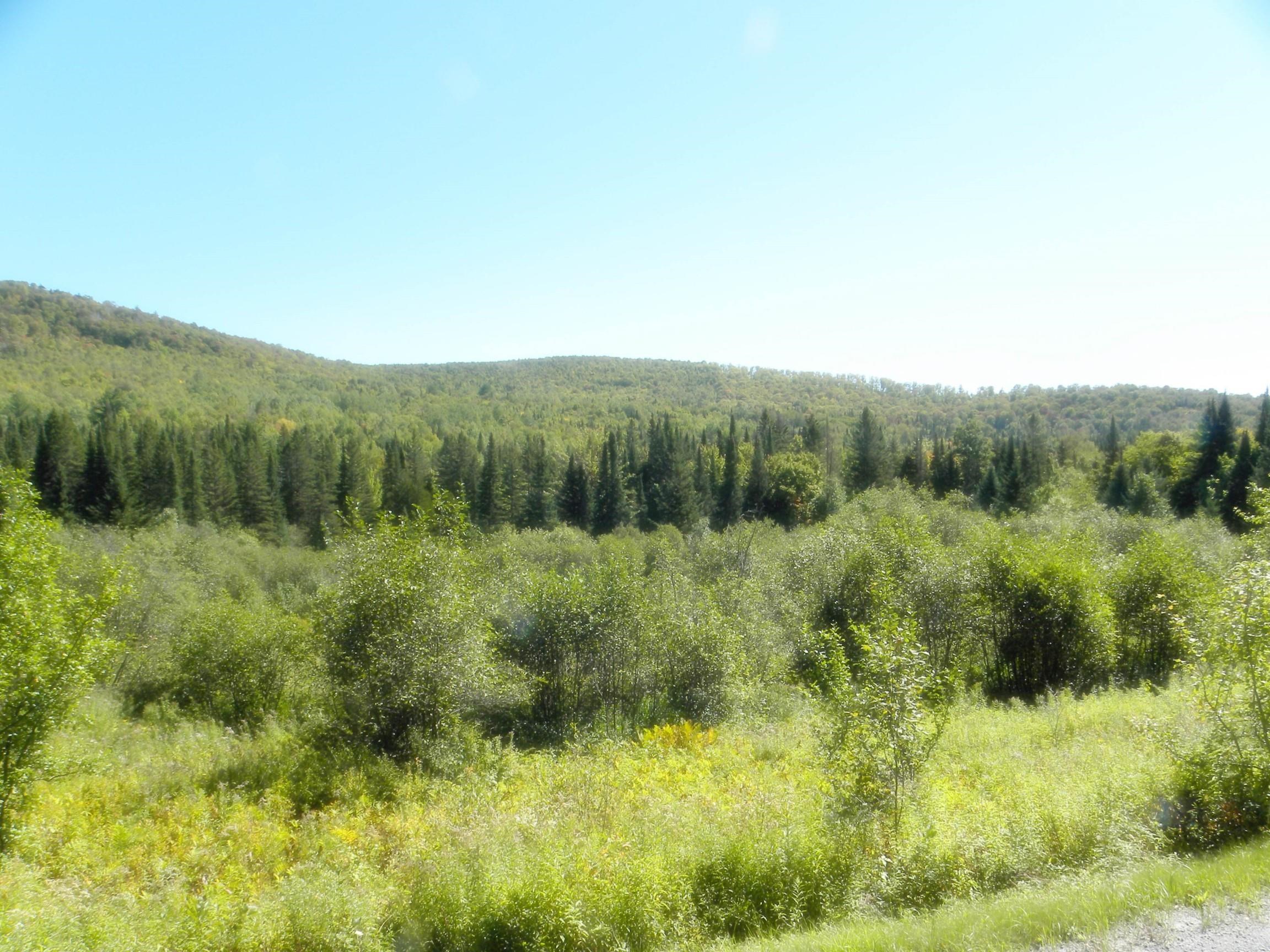 790 New Duck Pond Road Sheffield, VT 05866 - Photo 2 of 30