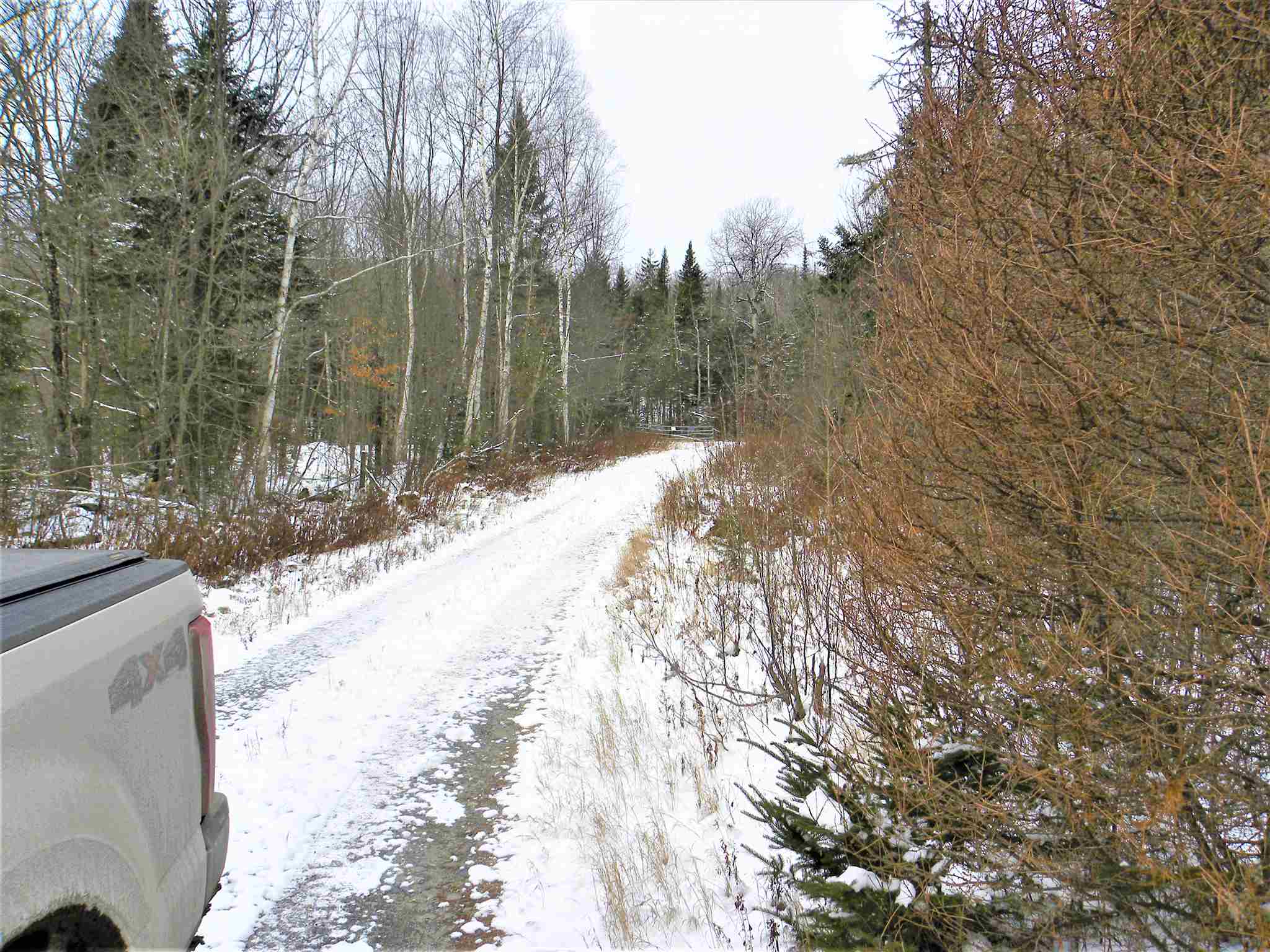 790 New Duck Pond Road Sheffield, VT 05866 - Photo 22 of 30