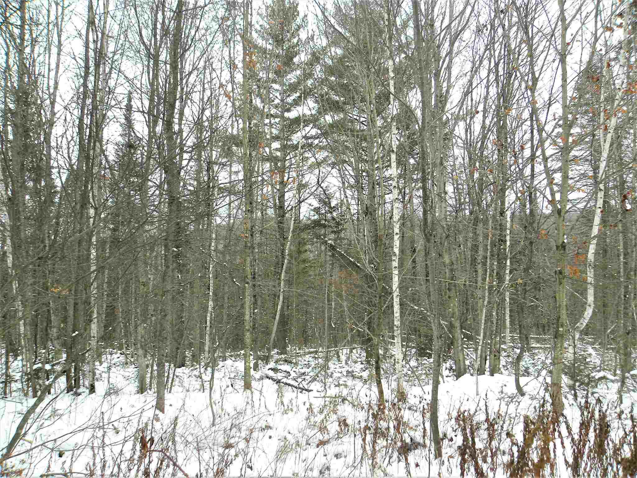 790 New Duck Pond Road Sheffield, VT 05866 - Photo 23 of 30