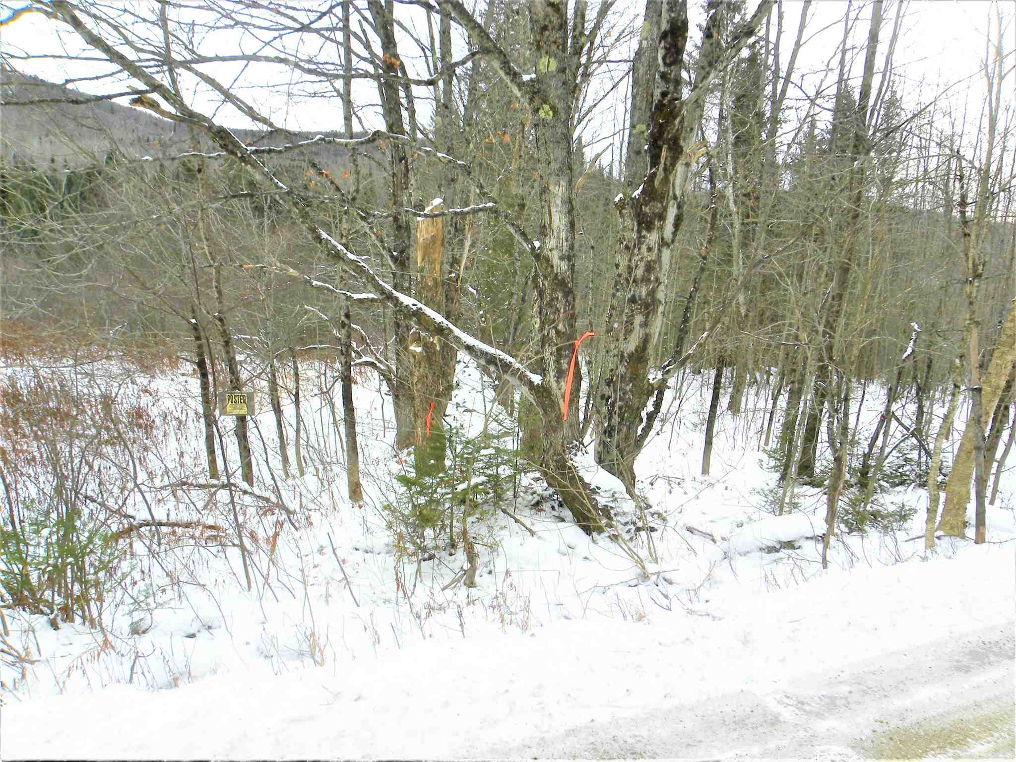 790 New Duck Pond Road Sheffield, VT 05866 - Photo 28 of 30