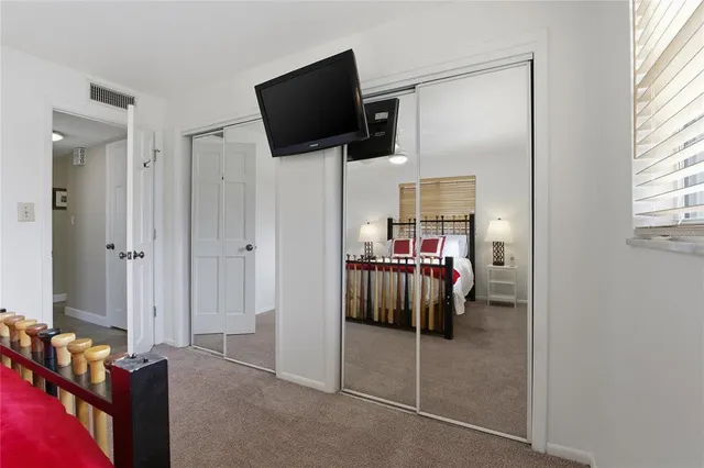 a view of a backyard with potted plants