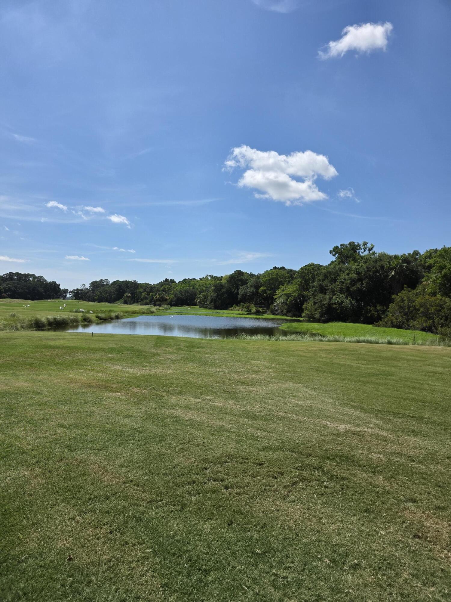 18 Addison Street Beaufort, SC 29907 - Photo 16 of 16 CAT Golf