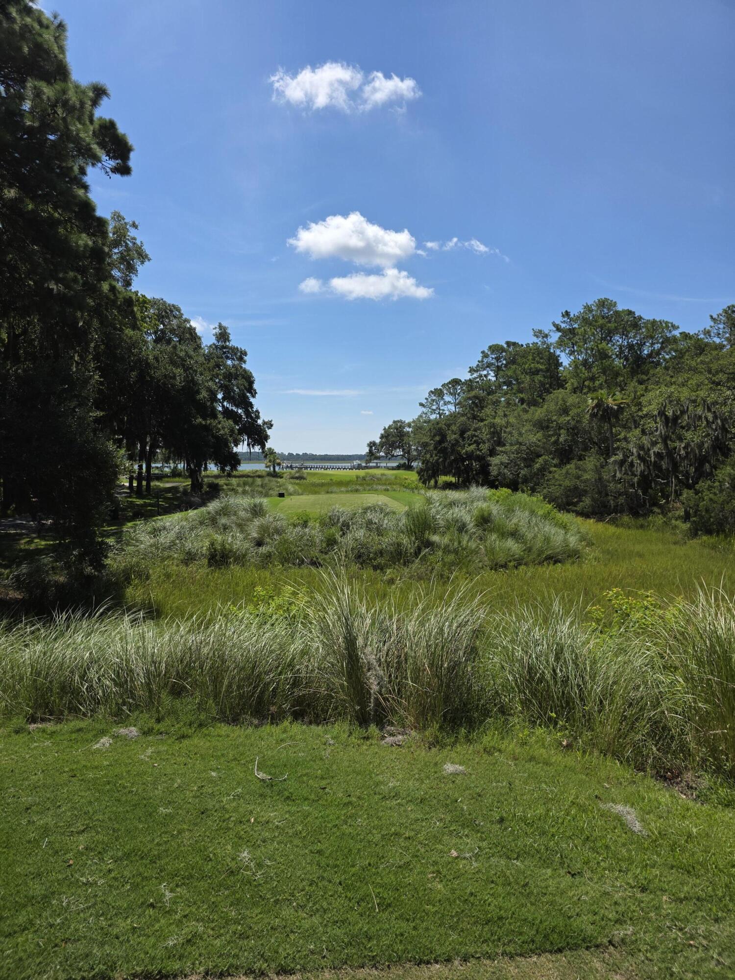 18 Addison Street Beaufort, SC 29907 - Photo 5 of 16 CAT Par 3