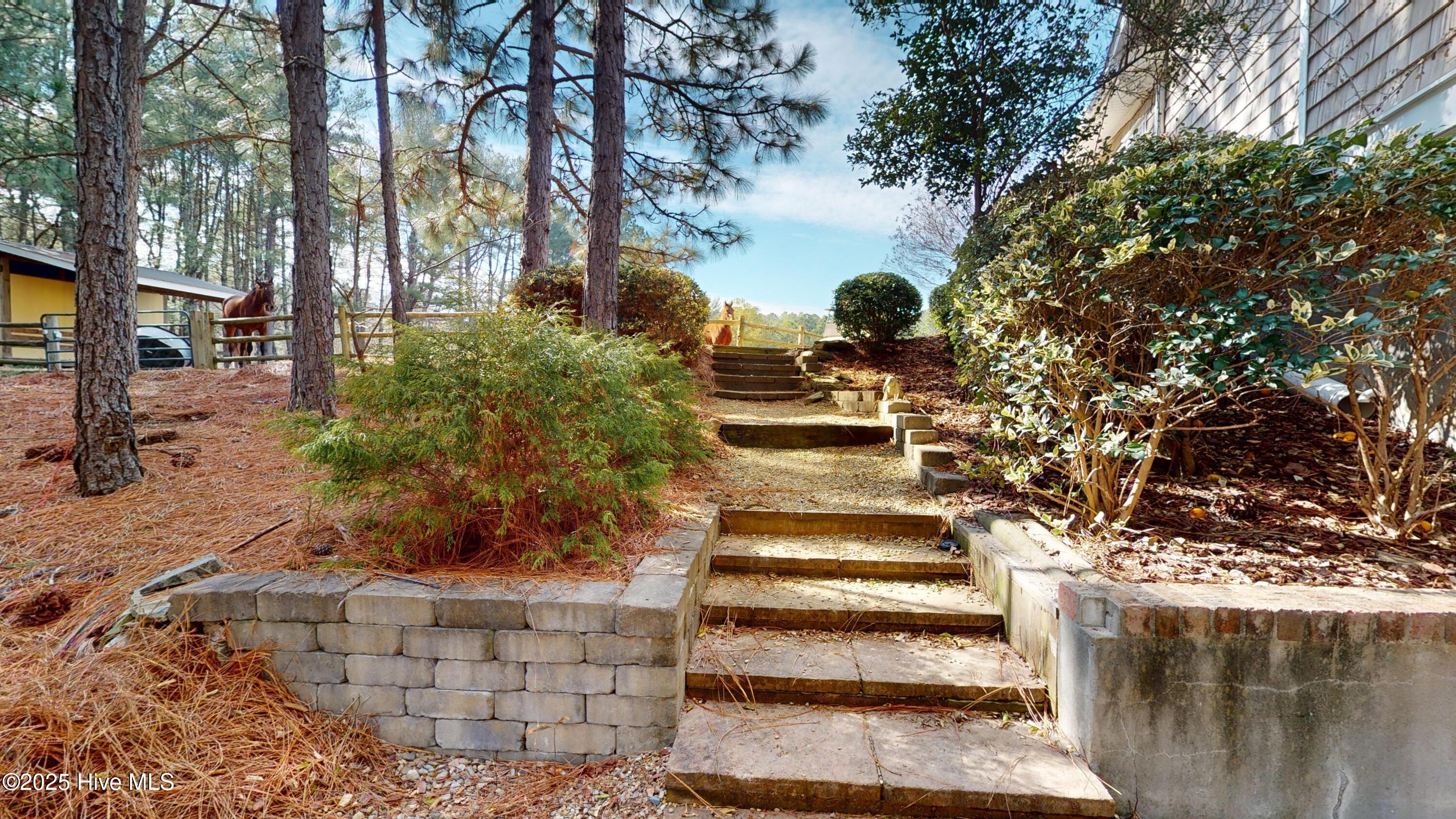 3565 Niagara Carthage Road Carthage, NC 28327 - Photo 11 of 89 3565-Niagara-Carthage-Rd-01312025_171531