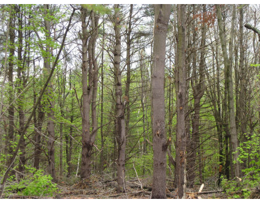 Lot 1 Pitcherville Road Hubbardston, MA 01452 - Photo 1 of 1 Gallery Image 1