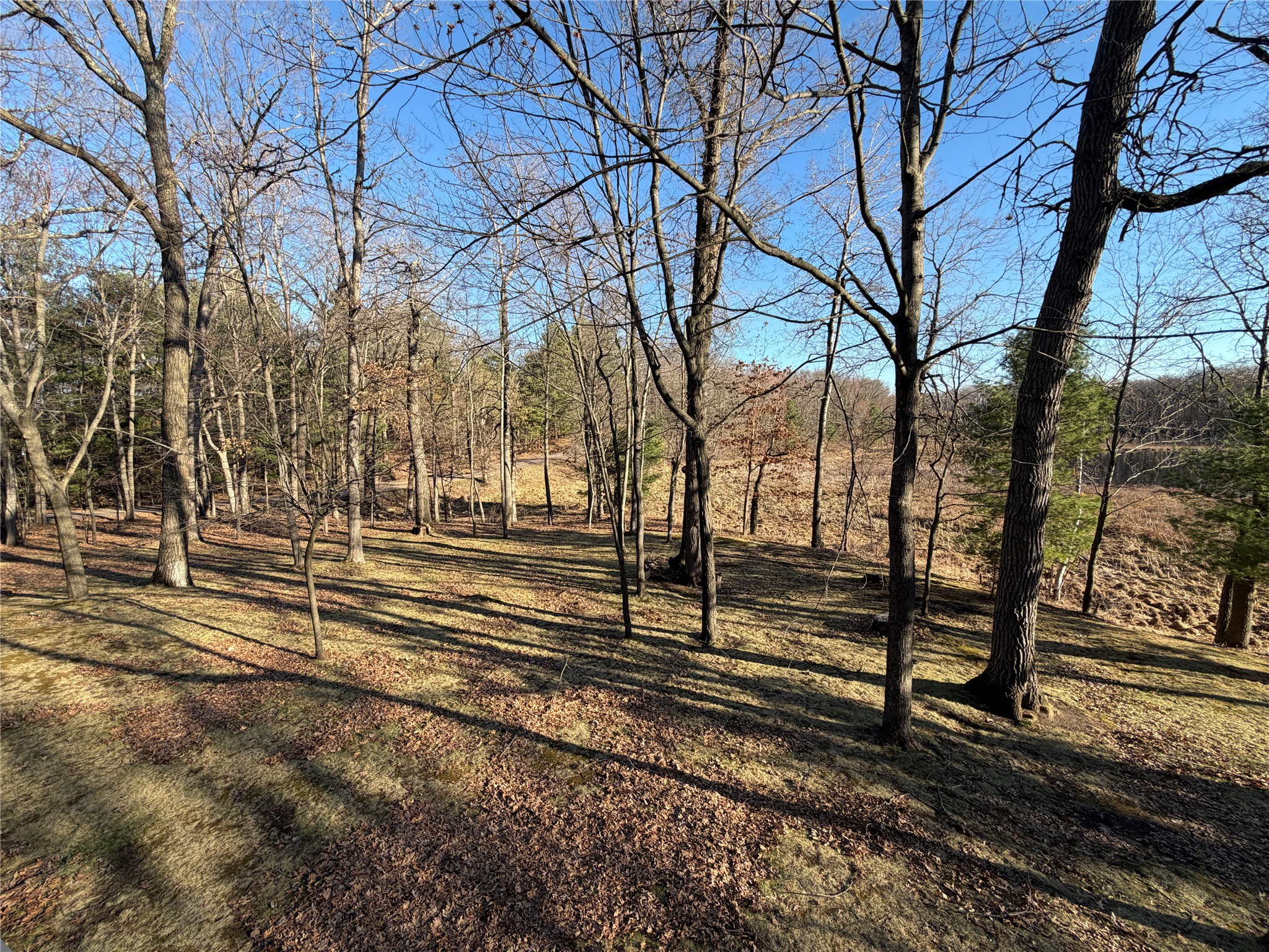 24779 Larrabee Subdivision Road Webster, WI 54893 - Photo 39 of 56
