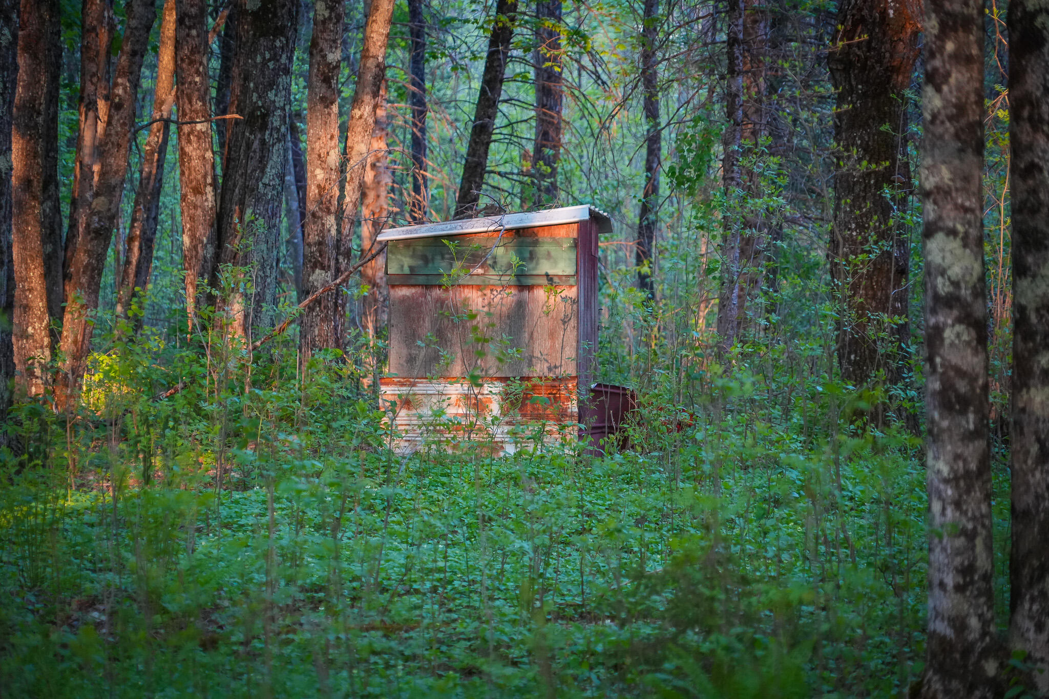 V/l V/l 33rd Road Perkins, MI 49872 - Photo 57 of 70 DSC00095