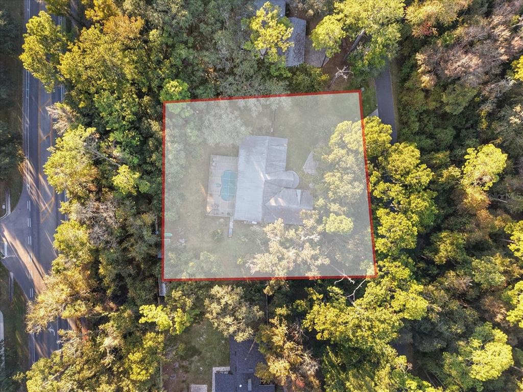 5609 Northwest 53 Court Gainesville, FL 32653 - Photo 48 of 49 a view of a tree with flower in front of it