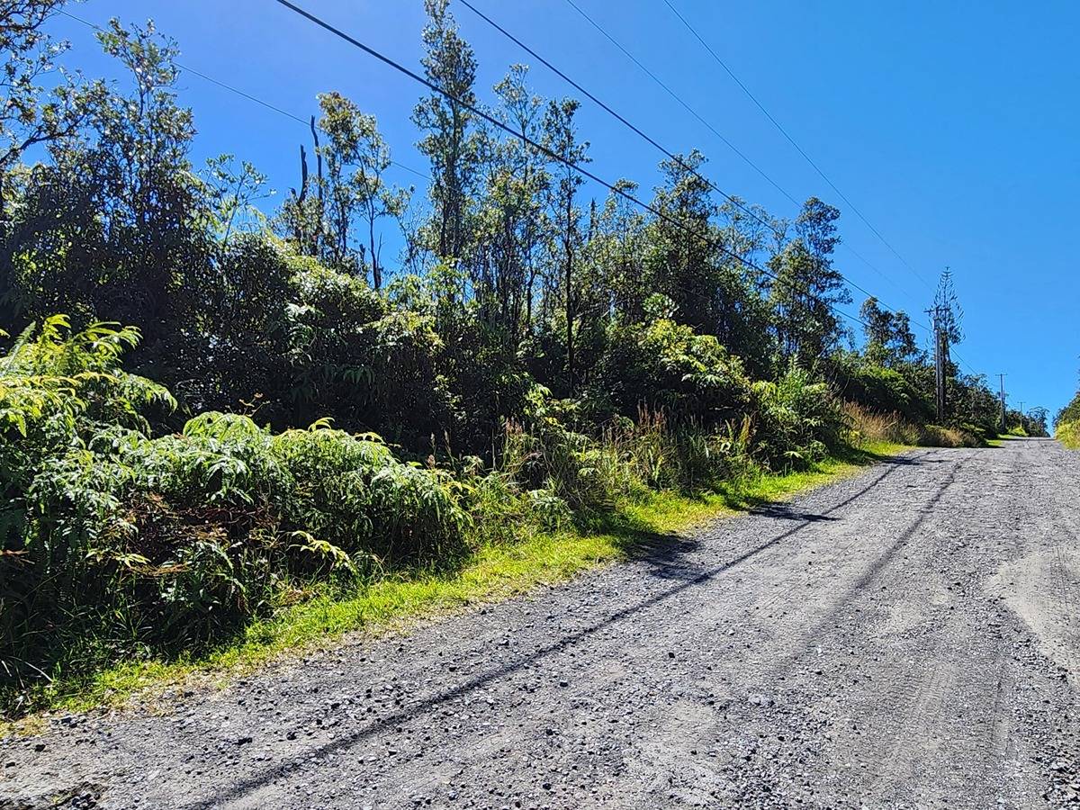 33 Leila Road Mountain View, HI 96771 - Photo 3 of 4