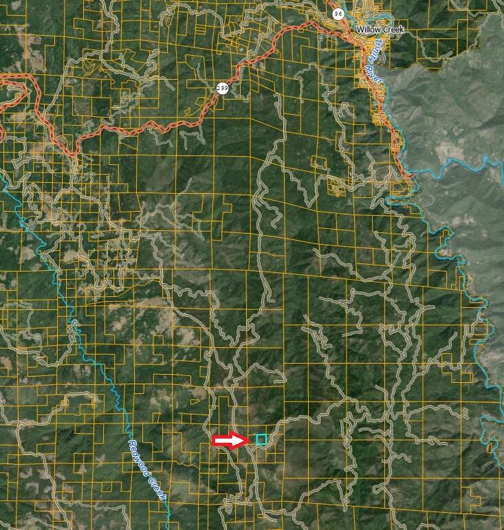 40-acres 40-acres Ammon Ridge Road Willow Creek, CA 95573 - Photo 9 of 28