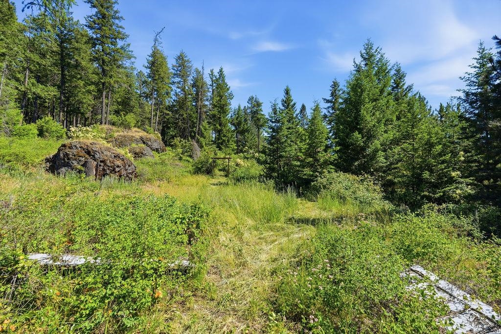 17118 North Dunn Road Mead, WA 99021 - Photo 46 of 50