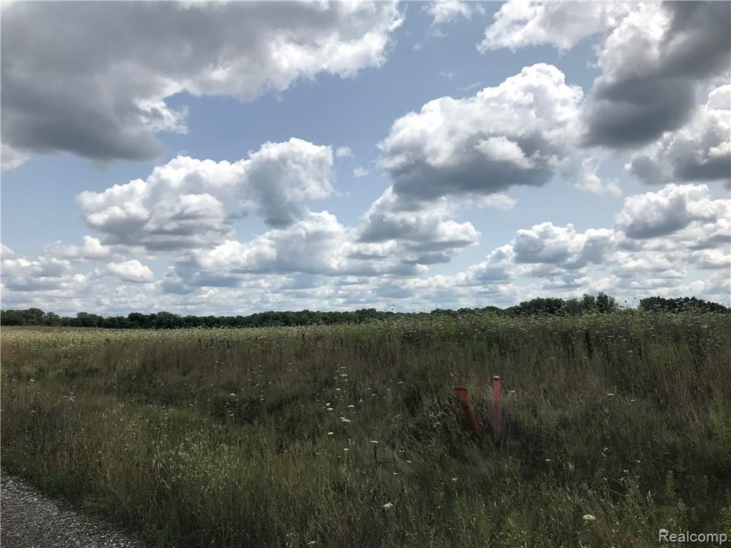 Lot O Hacker Road Howell, MI 48843 - Photo 7 of 12