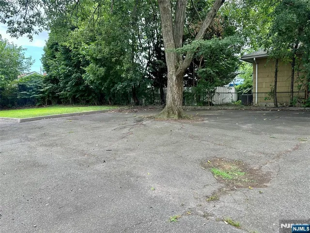 a view of a yard with a tree