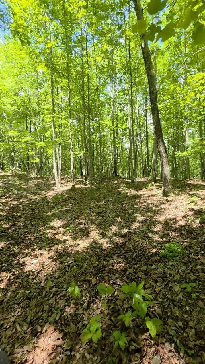 15 Cluck Cove Road South Pittsburg, TN 37380 - Photo 19 of 23