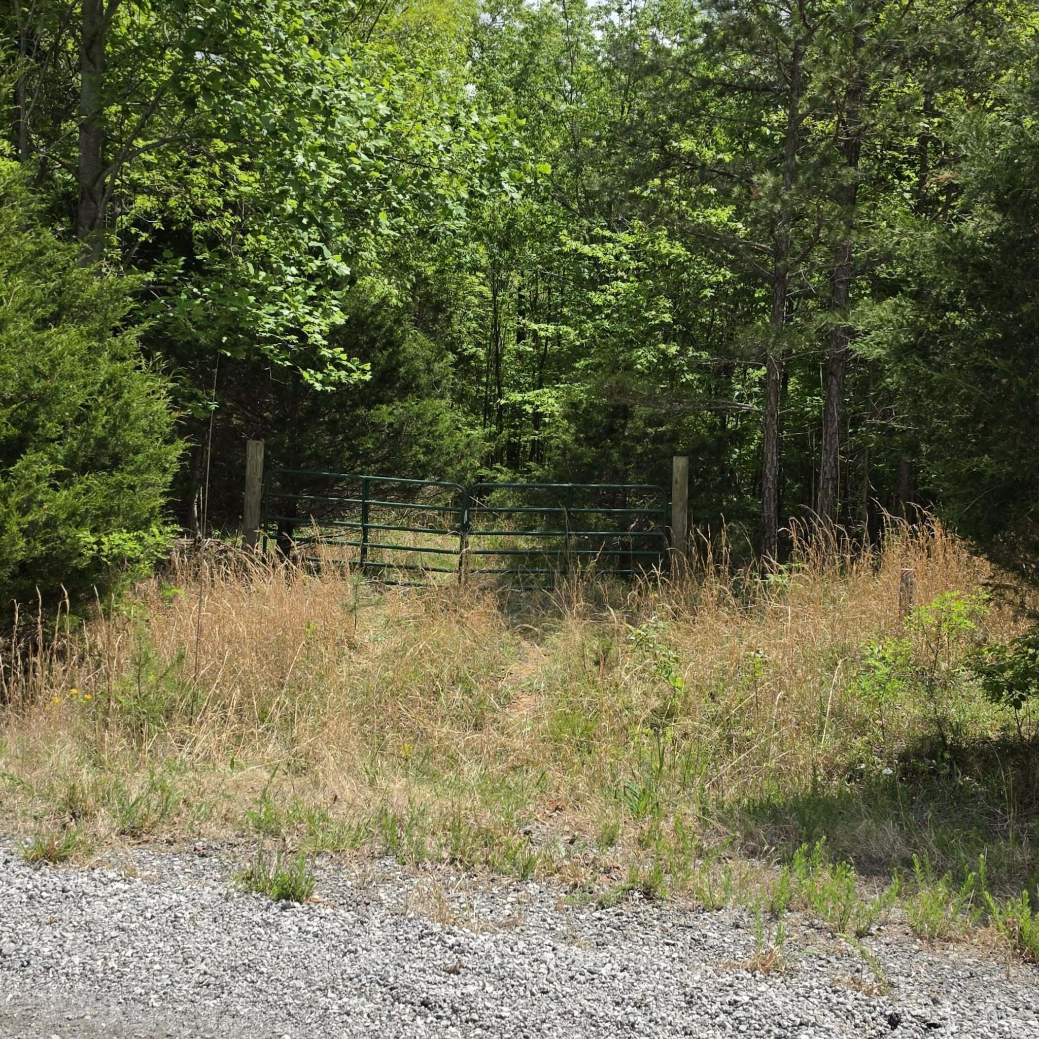 15 Cluck Cove Road South Pittsburg, TN 37380 - Photo 4 of 23