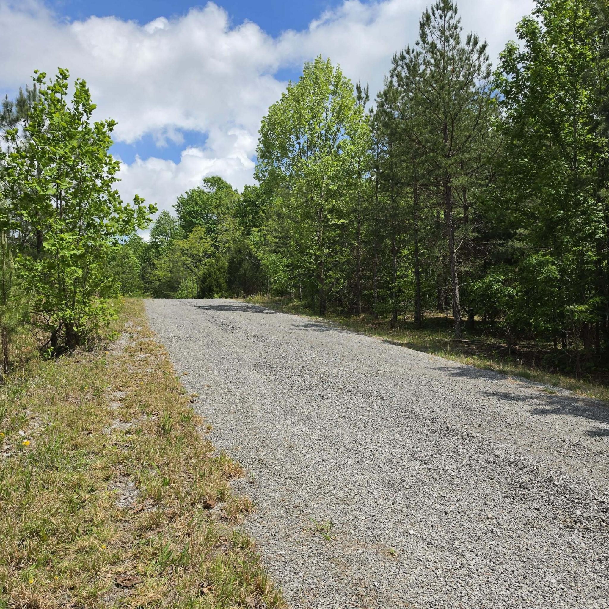 15 Cluck Cove Road South Pittsburg, TN 37380 - Photo 6 of 23