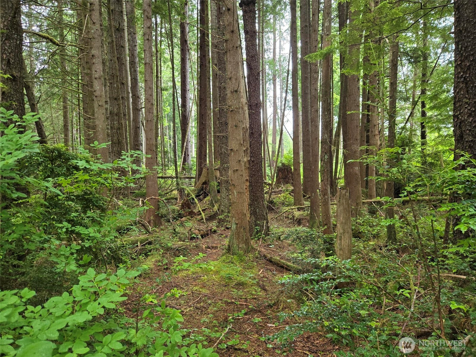 -nka Ocean Beach Road Copalis Crossing, WA 98536 - Photo 6 of 10 Gallery Image 6