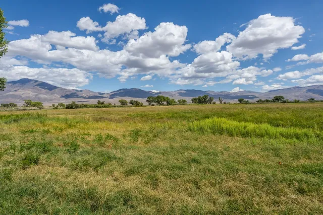 a view of a big yard with lots of green space