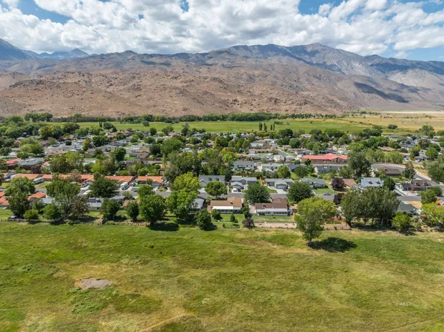 a view of an ocean and trees