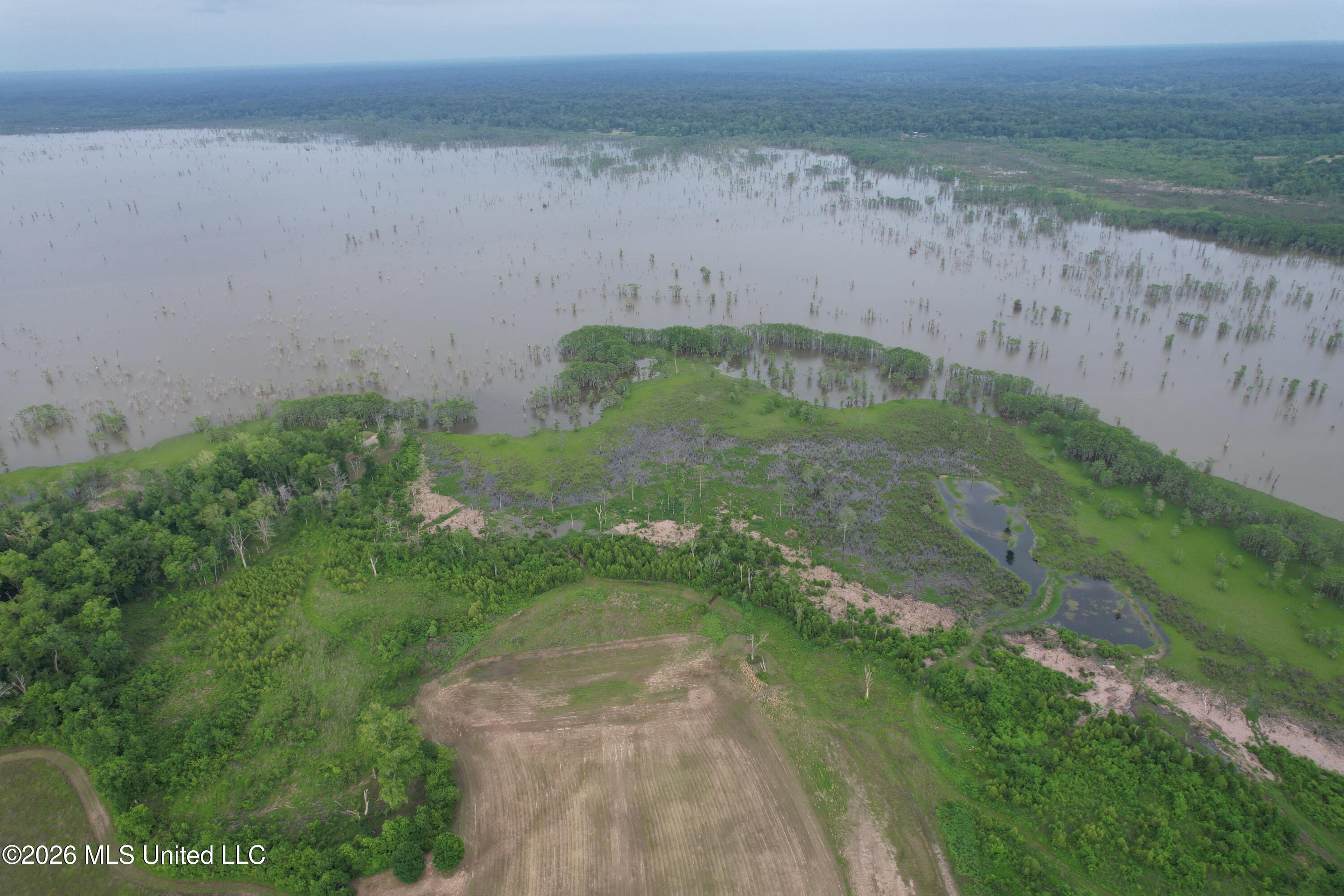 Lake Mary Road Woodville, MS 39669 - Photo 4 of 39 DJI_0957