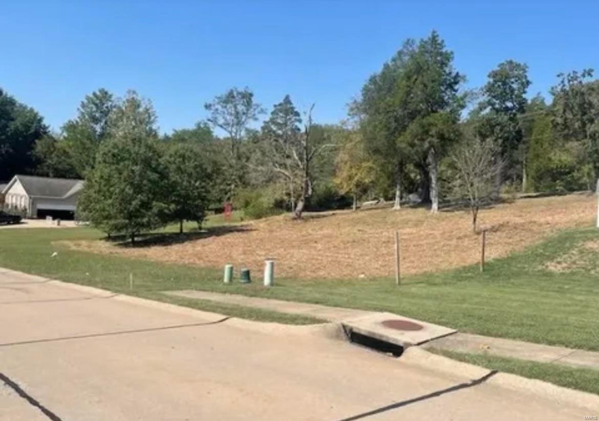 220 Echo Lake Circle Byrnes Mill, MO 63025 - Photo 3 of 4