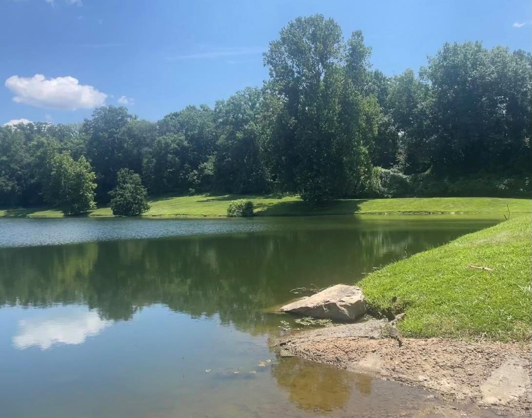 220 Echo Lake Circle Byrnes Mill, MO 63025 - Photo 4 of 4