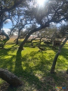 257 Whitaker Road Port Lavaca, TX 77979 - Photo 17 of 19