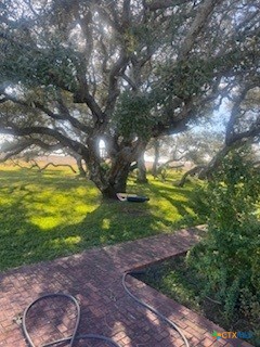 257 Whitaker Road Port Lavaca, TX 77979 - Photo 18 of 19