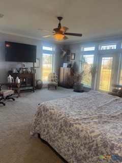 257 Whitaker Road Port Lavaca, TX 77979 - Photo 6 of 19