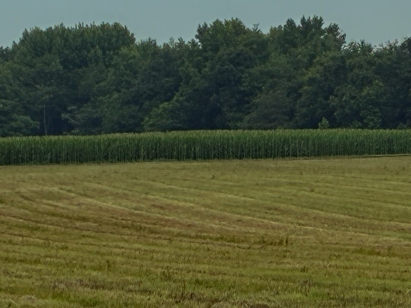 0 Rushing Road Ethridge, TN 38456 - Photo 2 of 9