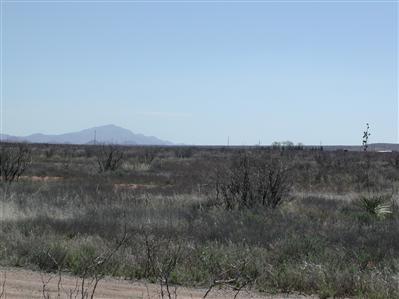 0 Kansas Settlement & Deer Mule Road Pearce, AZ 85625 - Photo 5 of 7