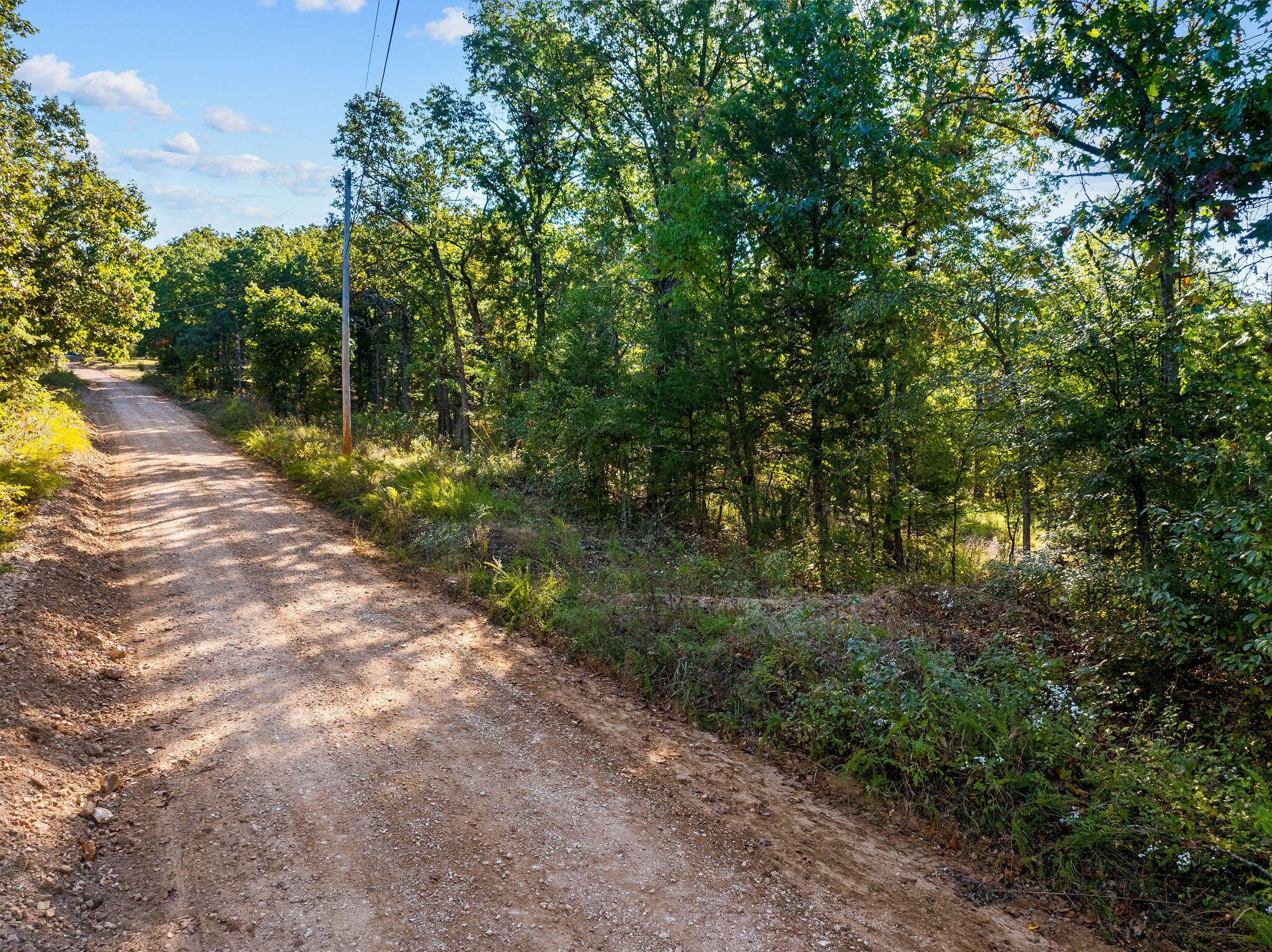 13789 North Branch Road Omaha, AR 72662 - Photo 12 of 24 DJI_20251010101138_0108_D