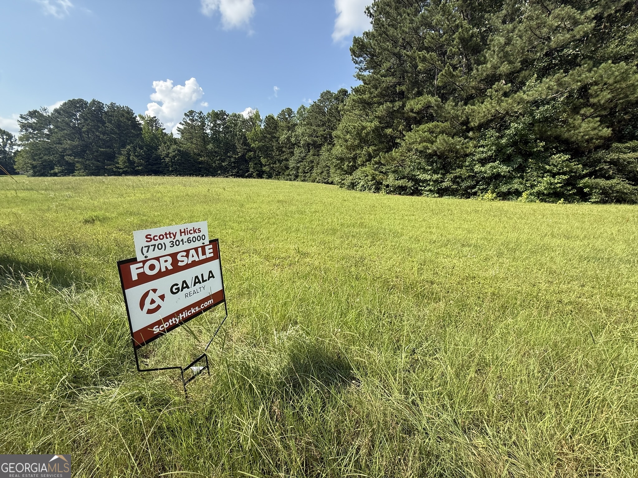 0 Cartbody Road Carrollton, GA 30116 - Photo 1 of 24