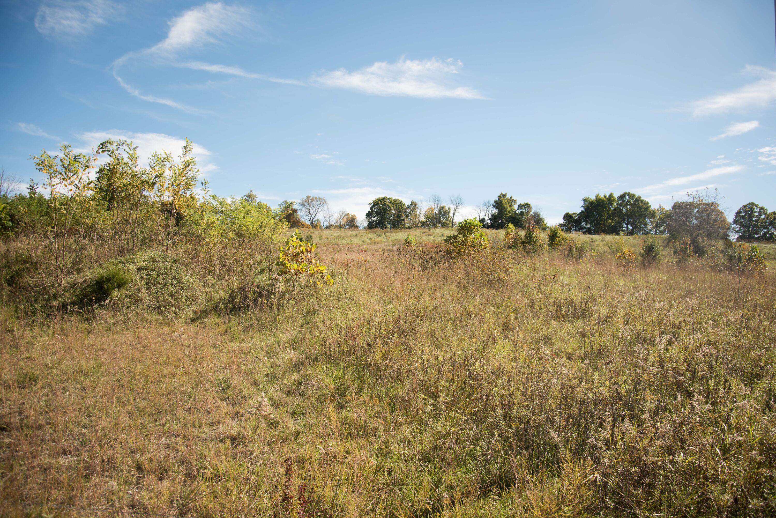 Lot 37 Whitehouse Road Greeneville, TN 37745 - Photo 4 of 7 20171227-DSC_6486