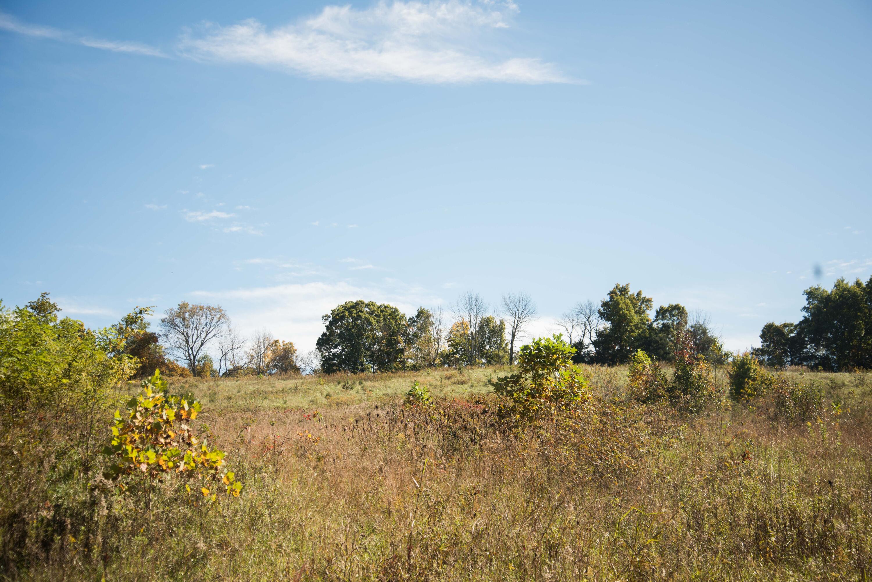 Lot 37 Whitehouse Road Greeneville, TN 37745 - Photo 5 of 7 20171227-DSC_6487