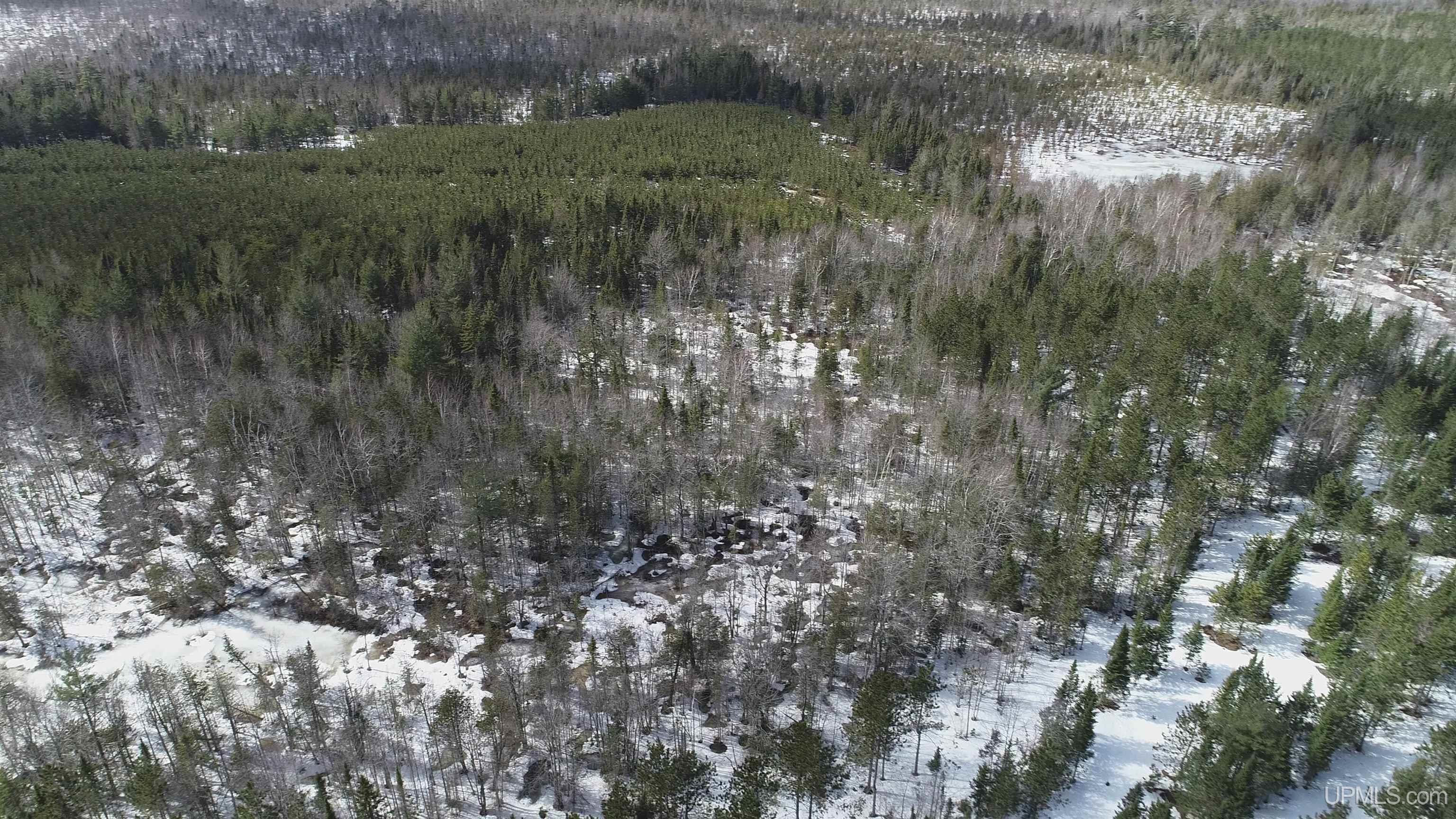 40-acres Off Flodin Road Manistique, MI 49854 - Photo 8 of 23