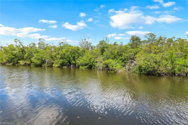 a view of a lake with a city