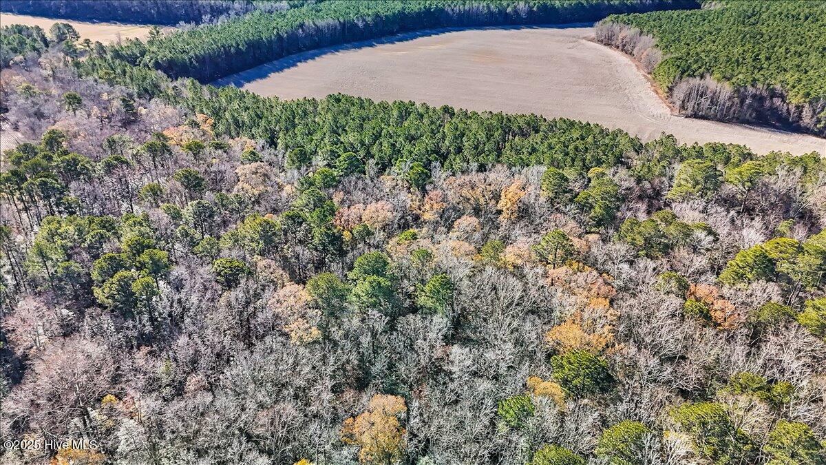 1218-1217 Ellenor Road Gates, NC 27937 - Photo 12 of 15 12-DJI_20251222111619_0133_D