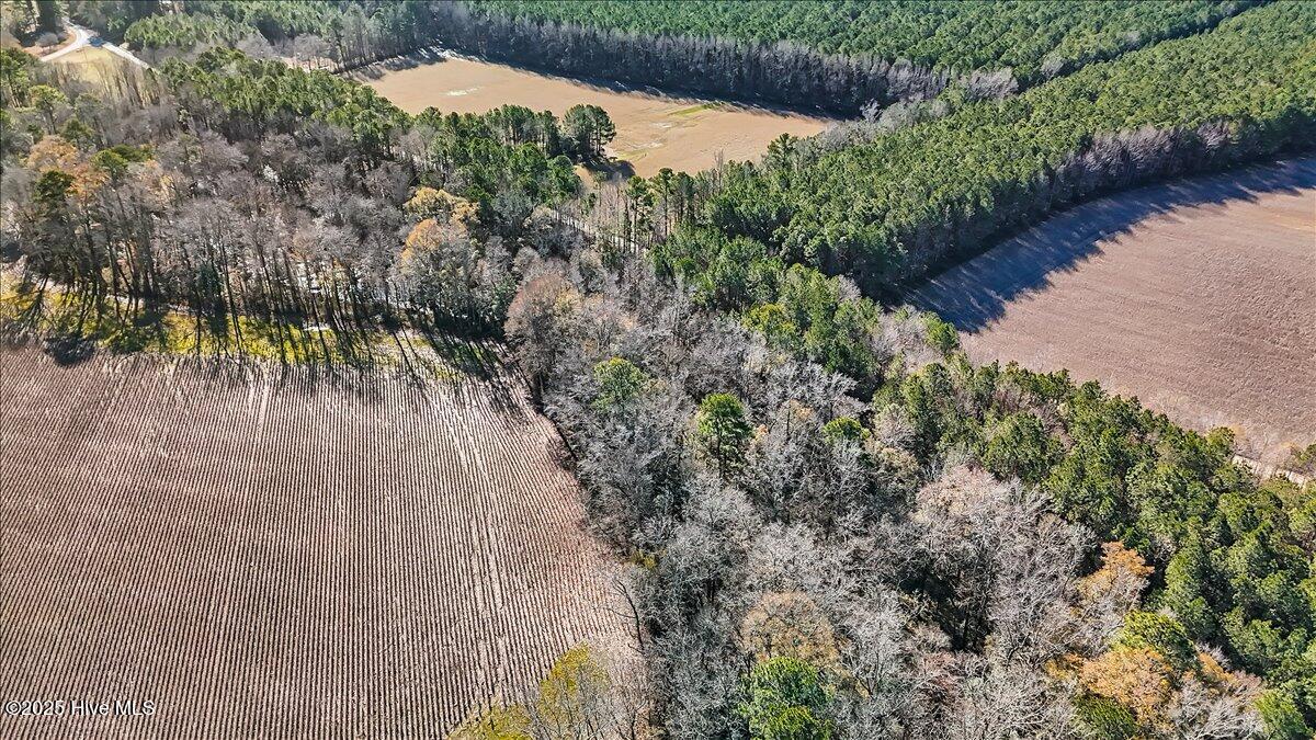 1218-1217 Ellenor Road Gates, NC 27937 - Photo 14 of 15 14-DJI_20251222111646_0143_D