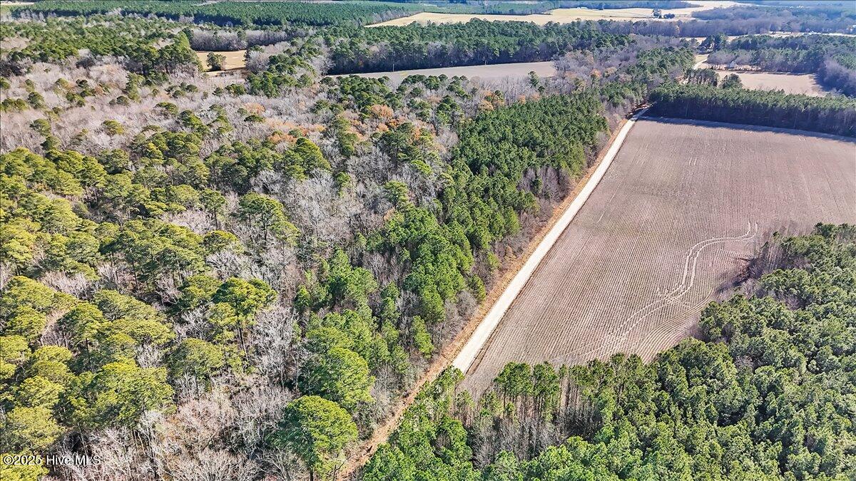 1218-1217 Ellenor Road Gates, NC 27937 - Photo 5 of 15 05-DJI_20251222111356_0103_D