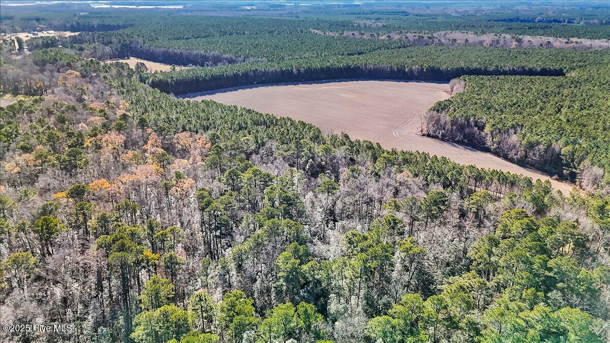 1218-1217 Ellenor Road Gates, NC 27937 - Photo 10 of 15 10-DJI_20251222111541_0123_D