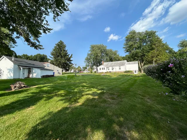 a view of a house with a big yard potted plants and large tree