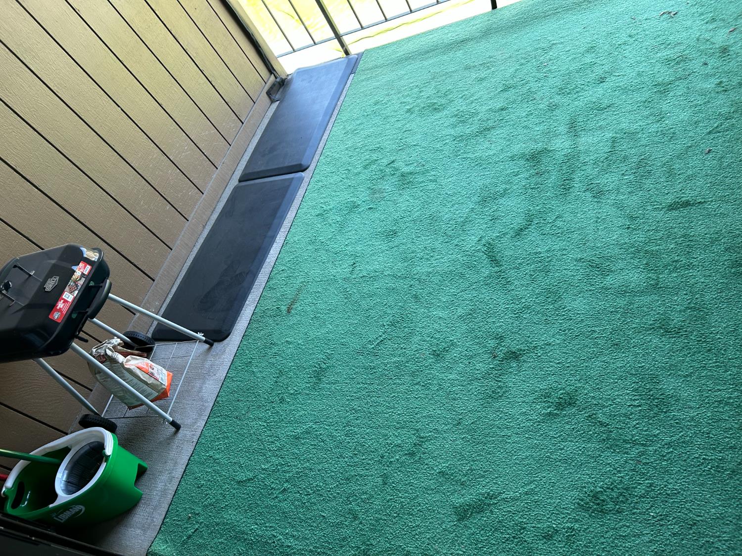 2900 Andre Lane, Unit 241 Turlock, CA 95382 - Photo 19 of 24 a view of yard from deck