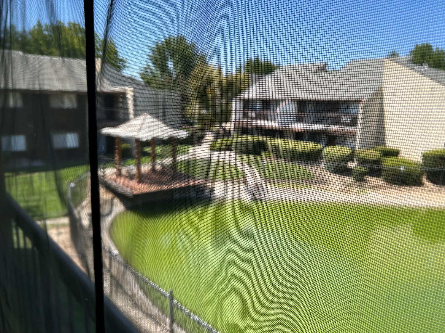 2900 Andre Lane, Unit 241 Turlock, CA 95382 - Photo 23 of 24 a view of swimming pool with outdoor seating and plants