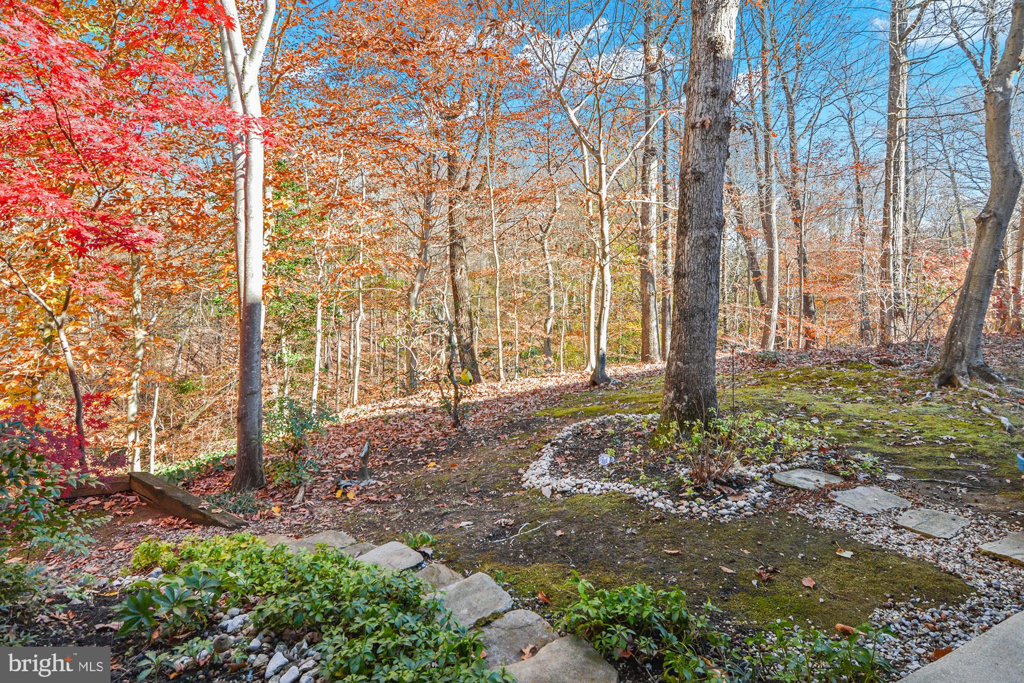 1447 Falcon Nest Court, Unit 45 Arnold, MD 21012 - Photo 4 of 58 a backyard of a house with lots of green space