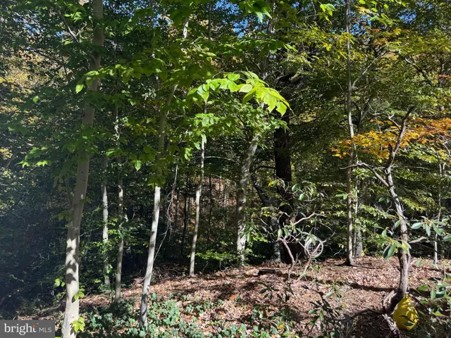 $460,000 | 1447 Falcon Nest Court, Unit 45, Arnold, MD 21012